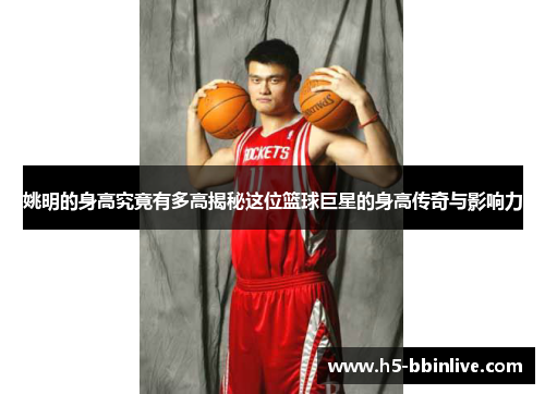姚明的身高究竟有多高揭秘这位篮球巨星的身高传奇与影响力